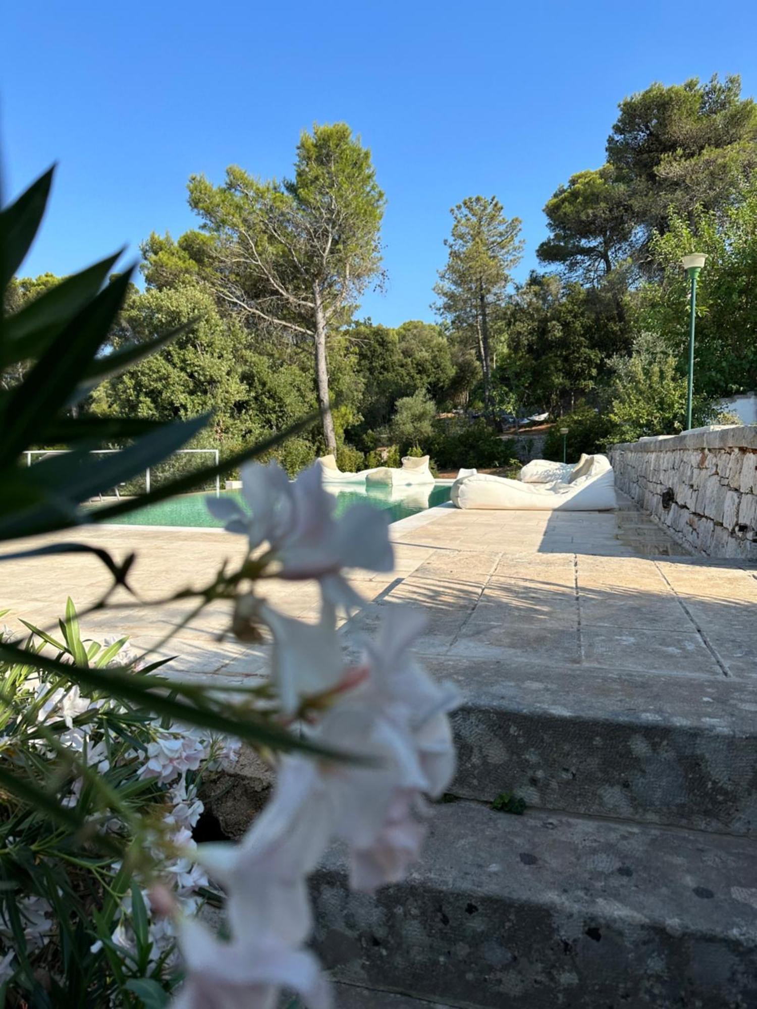 Il Trullo Di Simona Bed & Breakfast Locorotondo Exterior photo