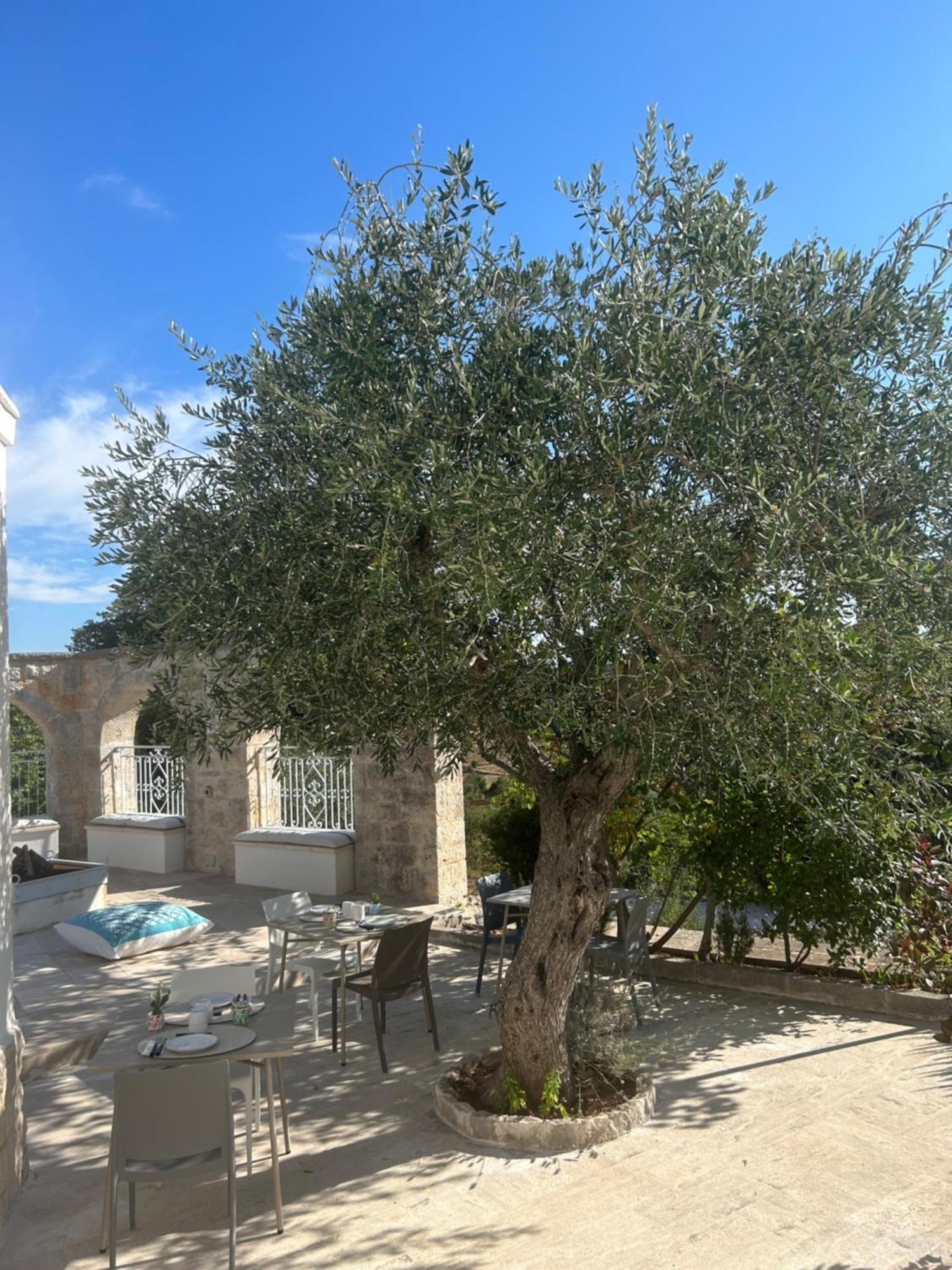 Il Trullo Di Simona Bed & Breakfast Locorotondo Exterior photo